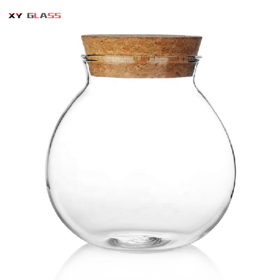 Fancy Christmas Gift Airtight With Cork Wood Lid Borosilicate Glass Jar