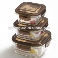 High borosilicate Eco-friendly square food glass with lid for microwave oven