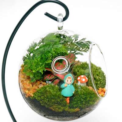 hot sale mouth blown glass with round bottom terrarium fish flower vase